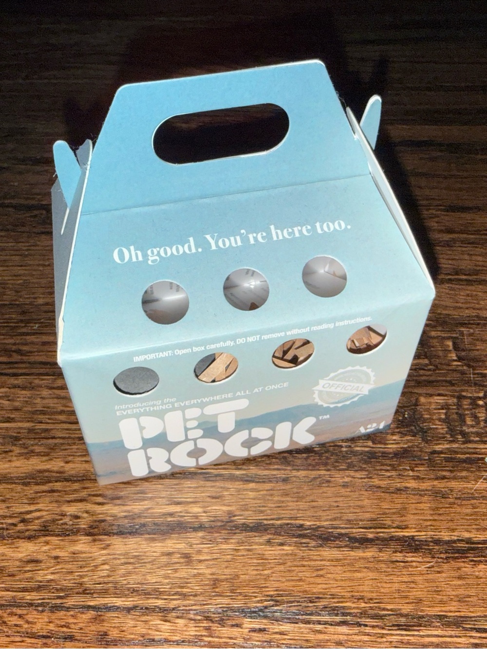 A24 Pet Rock Everything Everywhere All at Once Merchandise ARCHIVE SOLD OUT